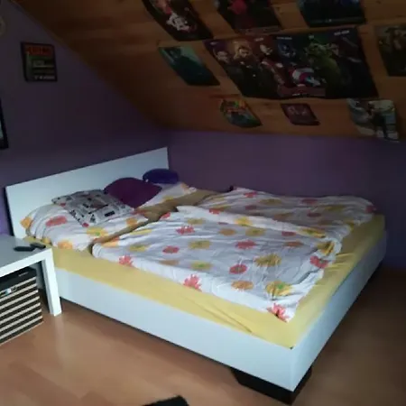 Διαμέρισμα Apartman Dum Skalice
